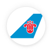 Logo China Southern Airlines